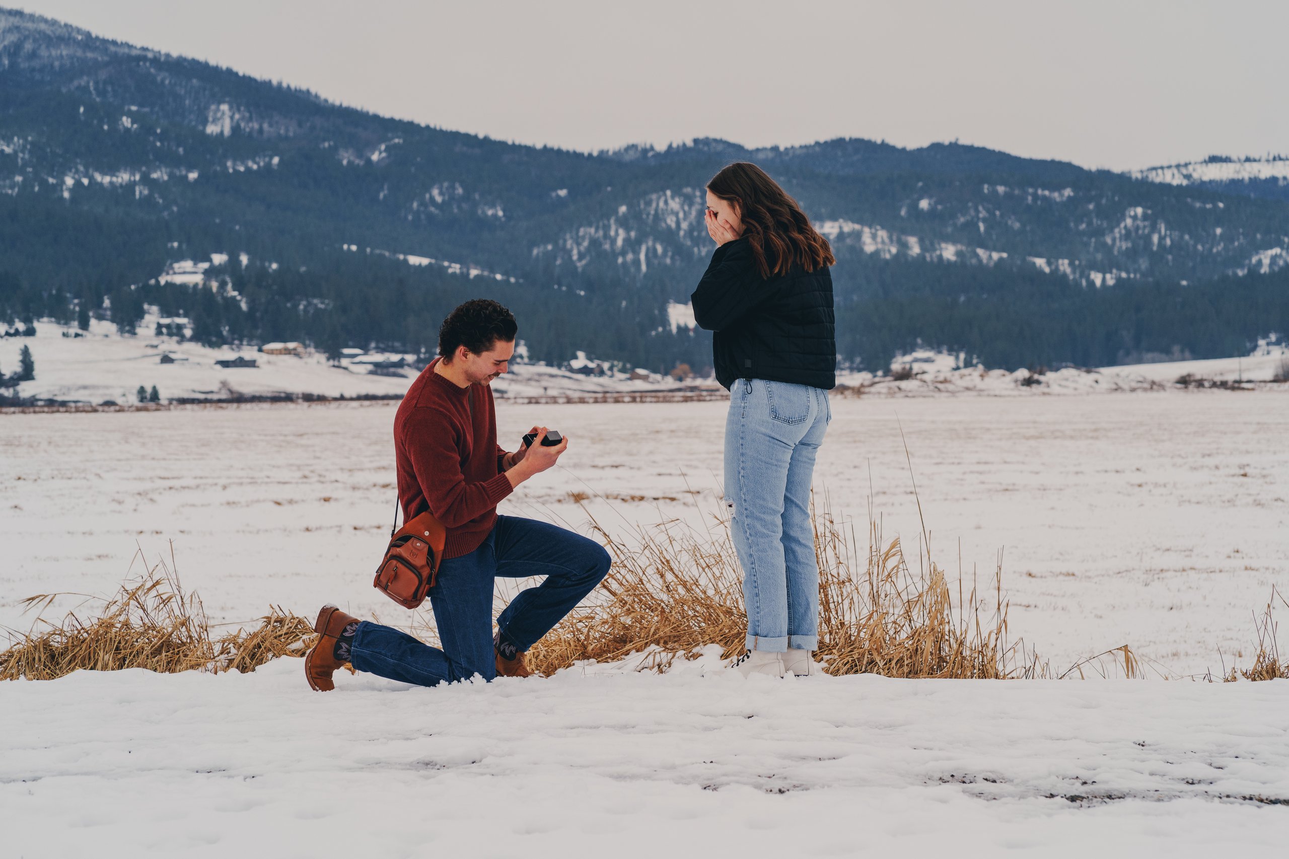 First Frost, shot 02 — Pacific Northwest 2026
