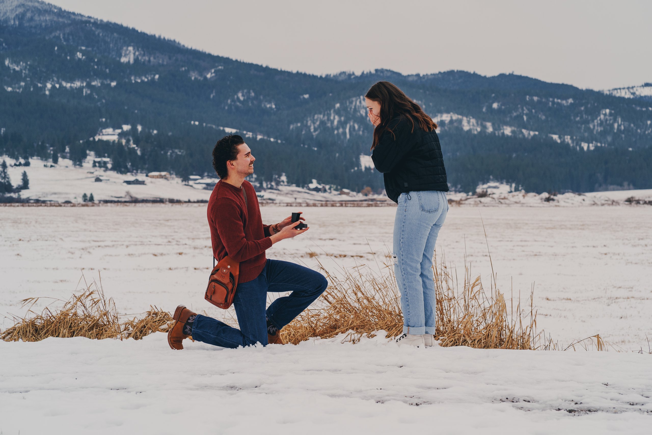 First Frost, shot 03 — Pacific Northwest 2026