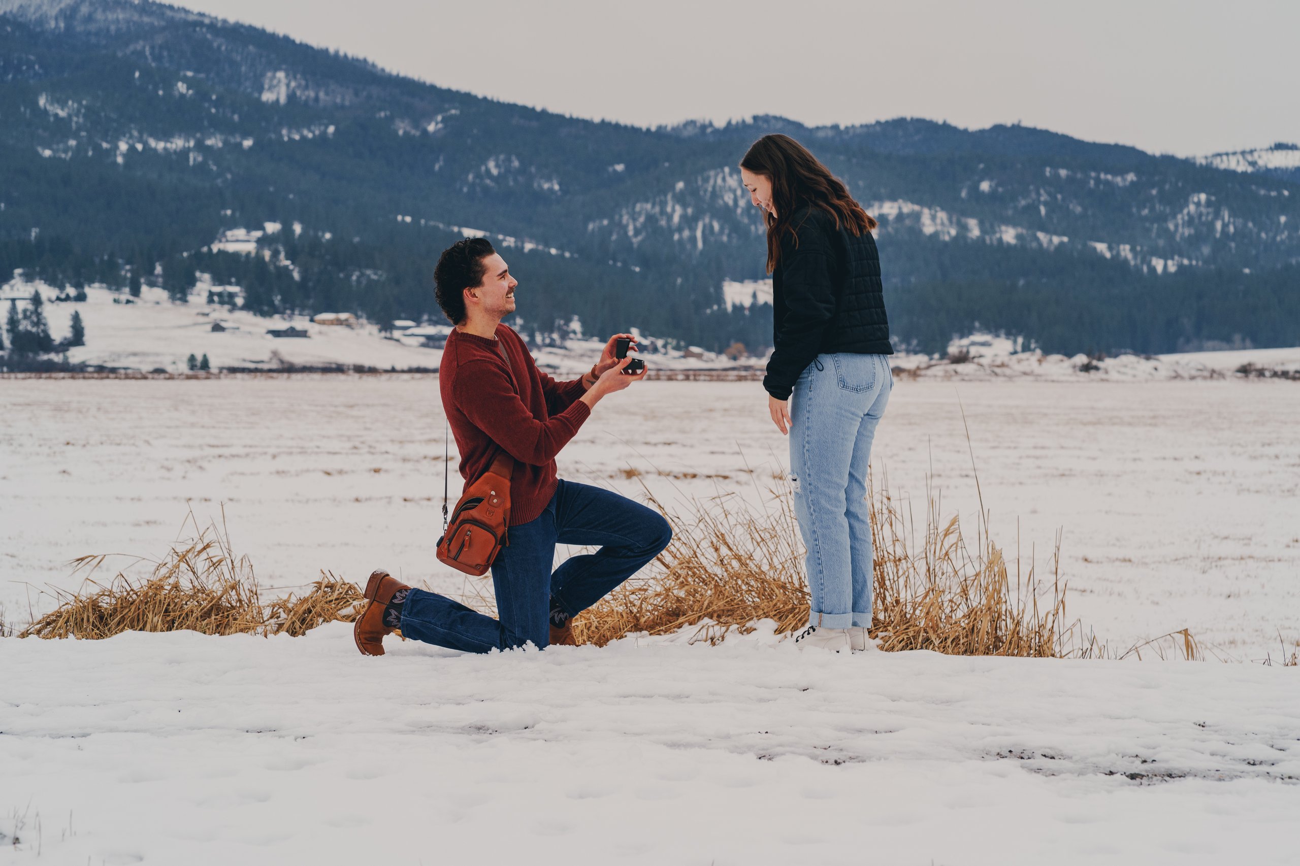 First Frost, shot 04 — Pacific Northwest 2026