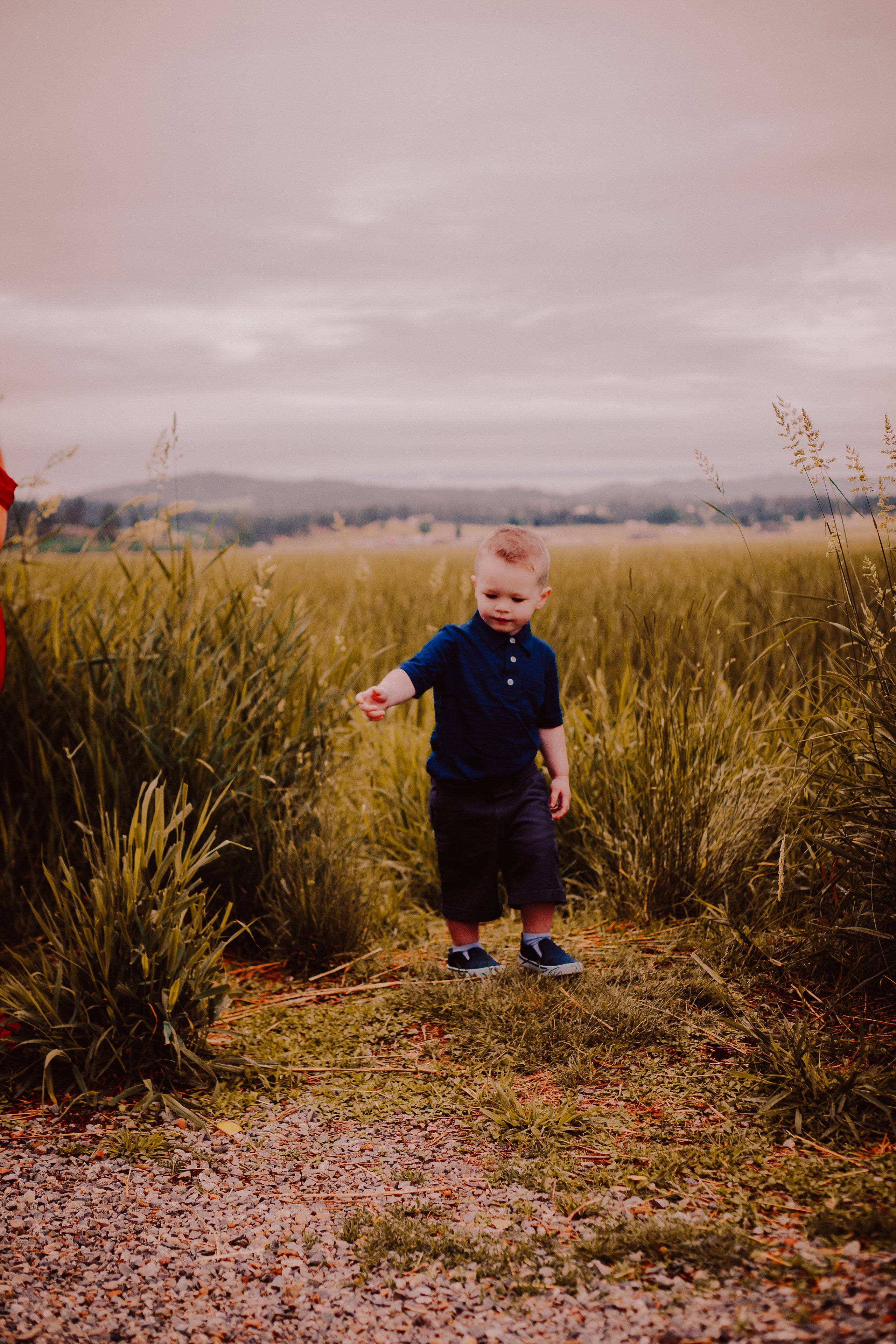 Red Thread, shot 17 — Pacific Northwest 2026